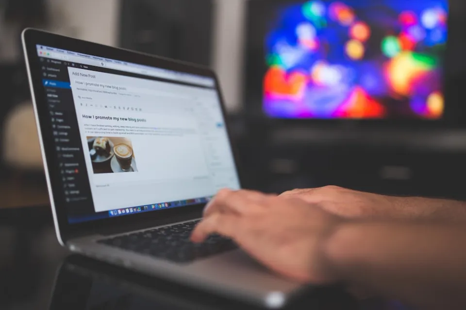 Person publishing in WordPress